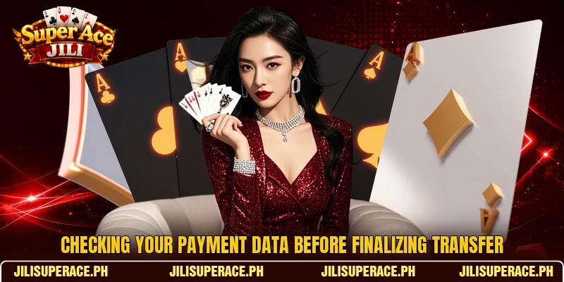 Checking your payment data before finalizing transfer Checking your payment data before finalizing transfer